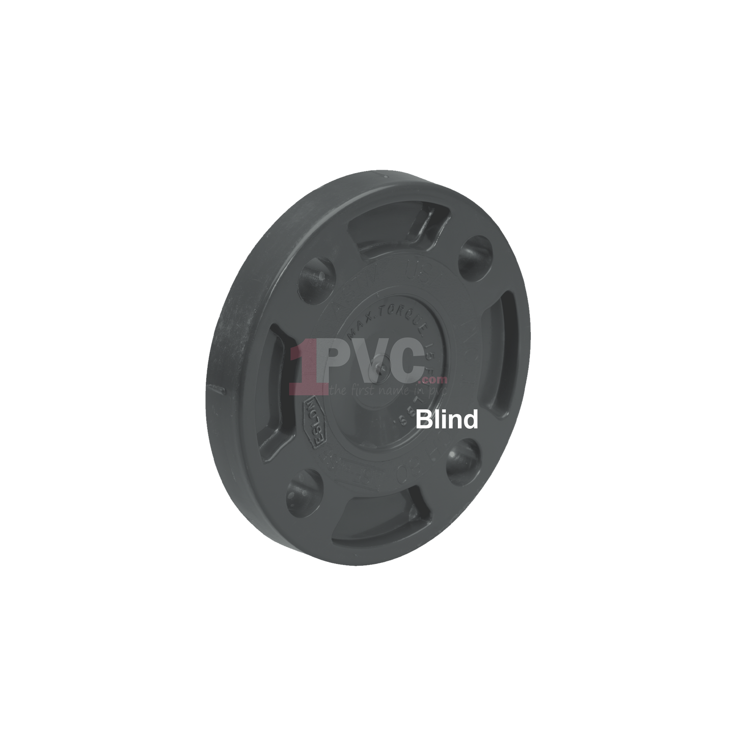 PVC 80 Flange (Blind)
